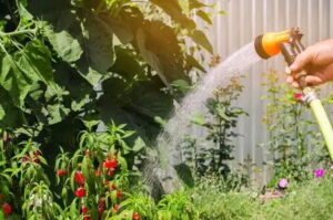 How to use hose clamps in agriculture