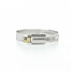 Stainless Steel 304, 316 Din3017 Germany Type Hose Clamp